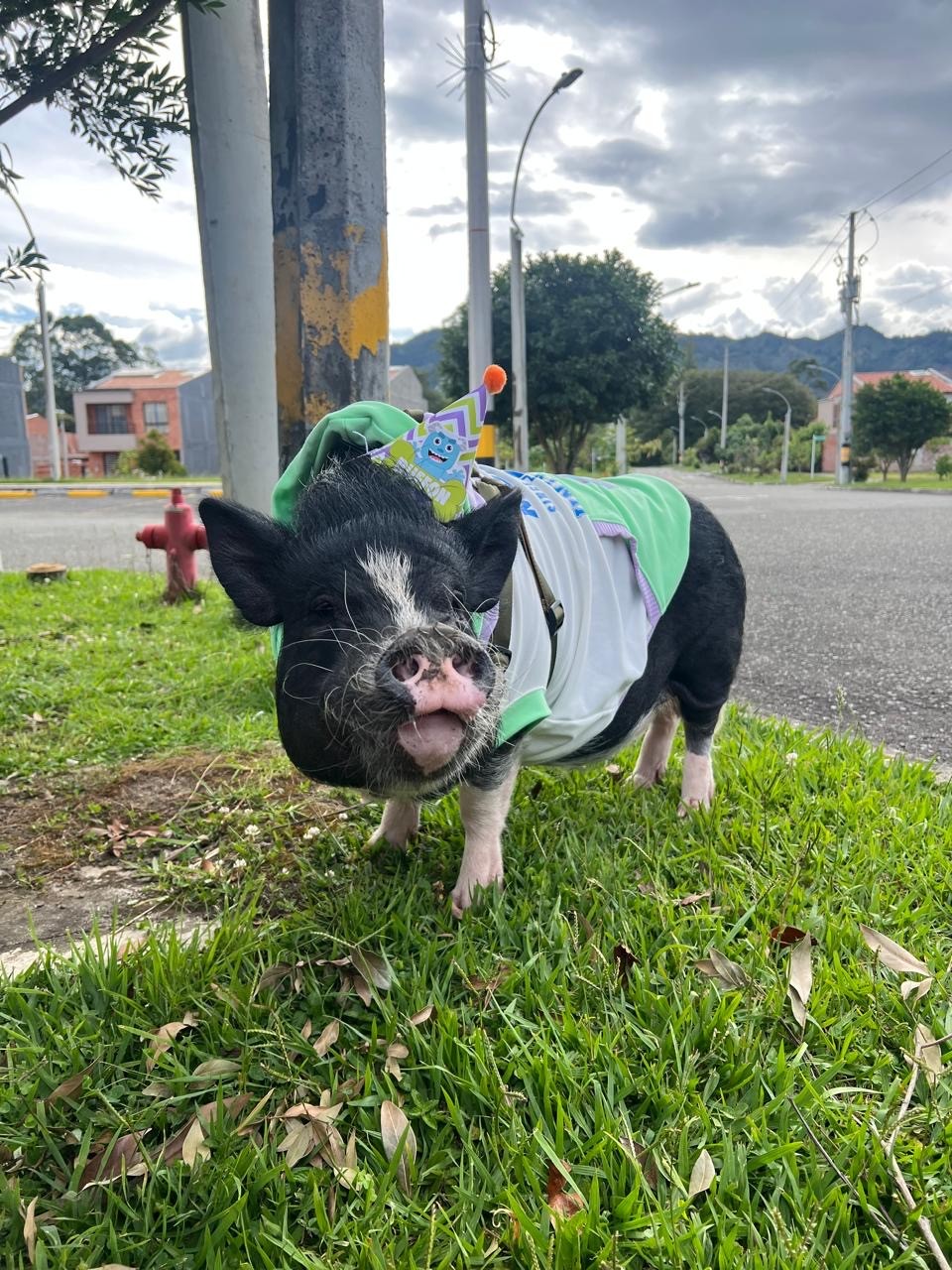 $NUGGET wearing a stylish green backpack with accessories